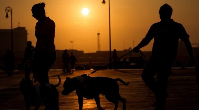 Mucho calor, checa la temperatura máxima para hoy