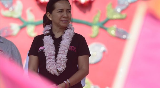 Fuerza por México exige a las autoridades den legalidad y tranquilidad al proceso electoral en Veracruz.