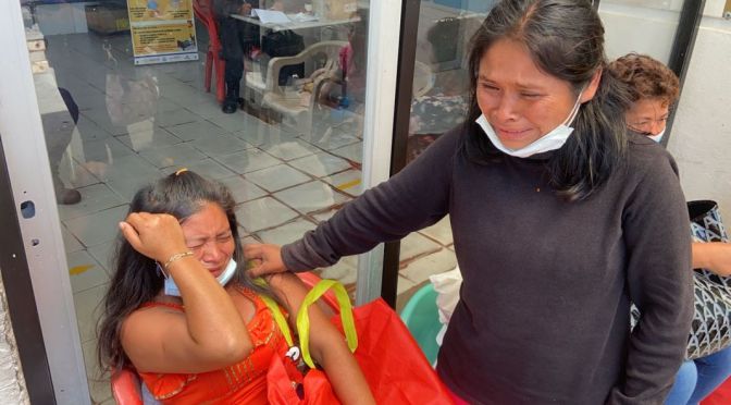 “No es la primera vez que intentan envenenar a mi mascota, pero esta vez fue mi hija la que tuvo que morir”: Hermila, mamá de los menores