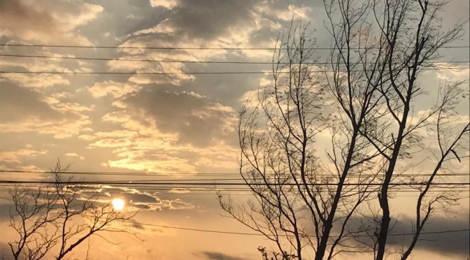 Seguirá llegando polvo del Sahara a Veracruz: meteorólogo