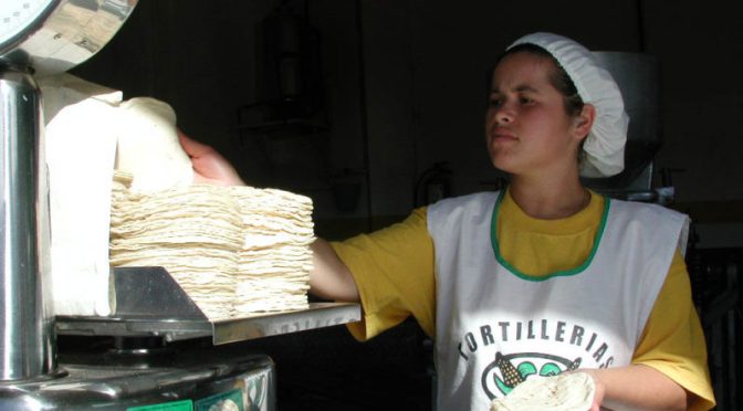 Por escalada de precios en insumos y servicios públicos, difícilmente bajará de precio la tortilla