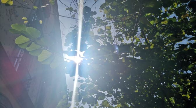 No hay fecha específica para el inicio de la canícula, ¡cuídese!, recomiendan los expertos.