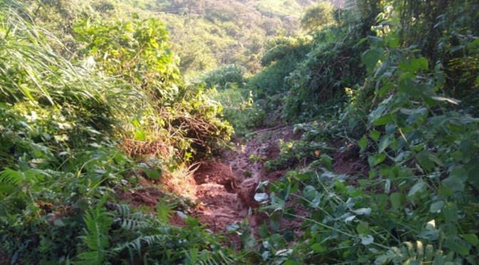 Derrumbe en Zongolica deja incomunicadas más de 8 mil personas