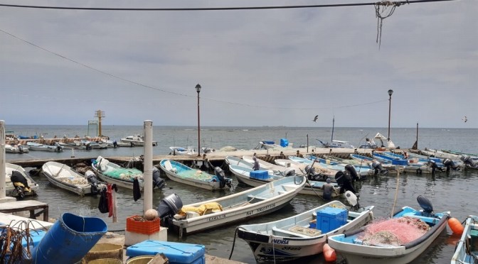 Este miércoles en Veracruz-Boca del Río índice de calor de hasta 39 grados Celsius.