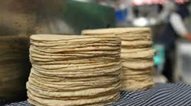Sube precio del kilo de tortillas 15.5%, la mayor alza en 10 años: INEGI