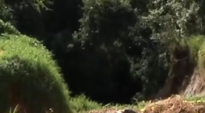 Tremendo socavón amenaza a 5 viviendas y 12 familias en Tlalnelhuayocan, Veracruz