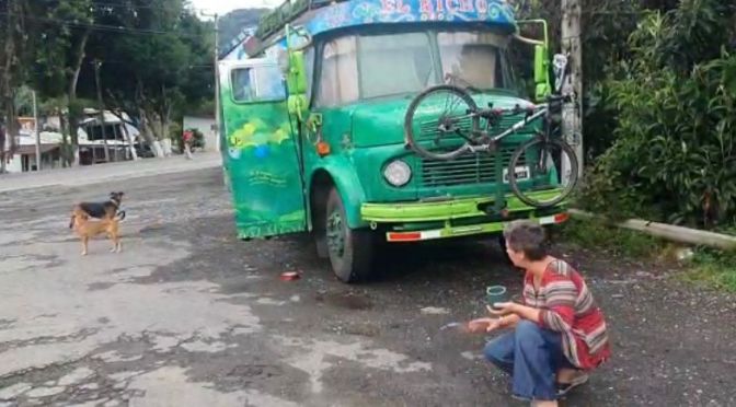 Recorrían Latinoamérica en un autobús, la pandemia los dejó varados en México.
