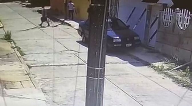 Amantes de lo ajeno mantienen asolados a los vecinos de la Santa Isabel primera etapa