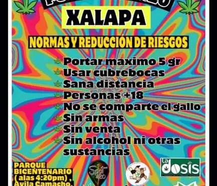 Xalapa se convertirá en la capital de la marihuana Habrá el «FUMATON»