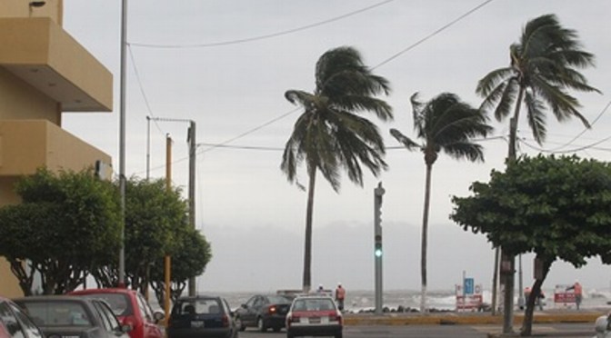 Pronostican rachas de norte de 90 km/h para el fin de semana en Veracruz-Boca del Río