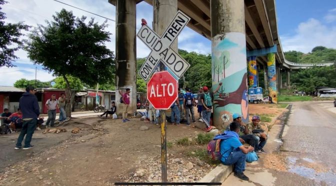 Llega a Veracruz grupo de migrantes que fueron amagados y asaltados por grupos armados en Tabasco.