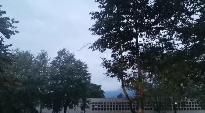 Viento arrachado y lluvias en Veracruz por remanente de FF2.