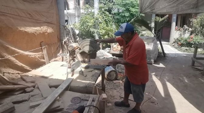 No tires tus desechos de madera a la basura, estos carpinteros los convierten en casas para perro.