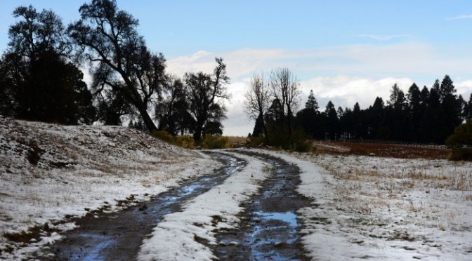 Mientras que en el sur del estado las temperaturas rebasan los 35 grados, se registra la primera helada en el Valle de Perote: Alcalde