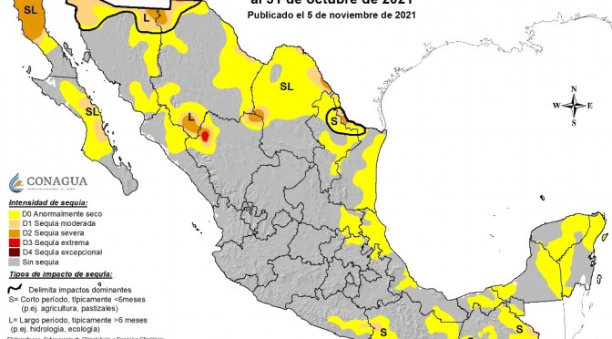 Reportan que en Veracruz hay 79 municipios anormalmente secos