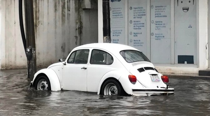 Lluvia deja caos e inundaciones en Veracruz