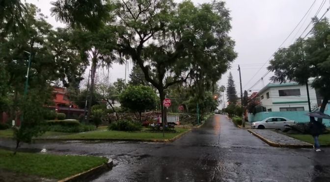 Evento de norte con rachas de hasta 65 km/hr llega este viernes a Veracruz.