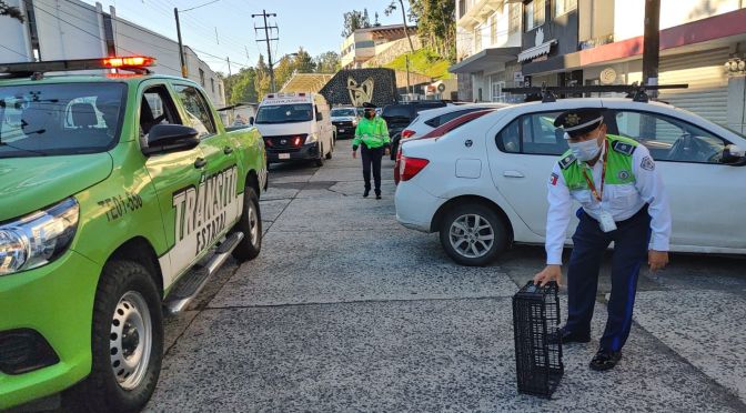 Retira Tránsito bienes mostrencos y van contra franeleros.