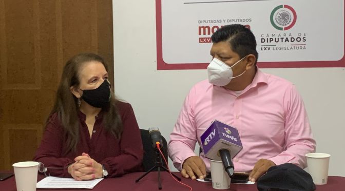 Homologar tarifas y frenar incrementos desmedidos, único propósito de reforma eléctrica; Diputada Federal.