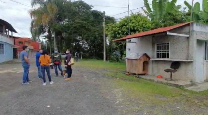 Hasta perritos que sacan a pasear mueren por envenenamiento en Xalapa.