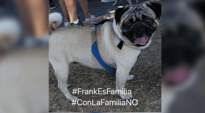 Embargan a perrito por pleito financiero; piden cambiar ley en Coahuila