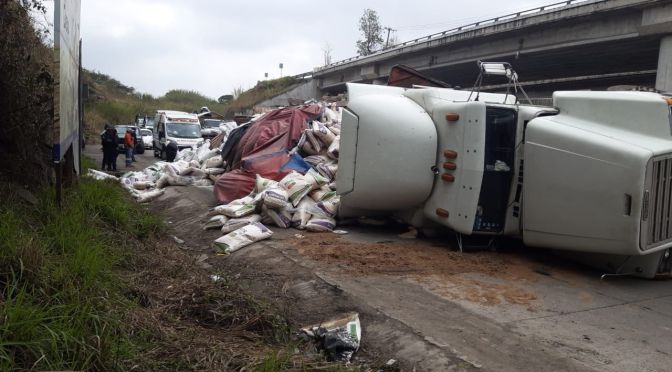 Vuelca tractocamión con cargamento de alimento para ganado