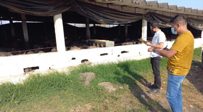 Atiende Erick Ruiz queja de colonos por granja porcina en Emiliano Zapata