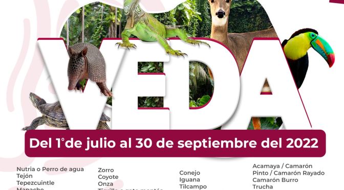 EXHORTA CABILDO DE ACTOPAN A RESPETAR VEDA DE FAUNA SILVESTRE Y ACUÁTICA