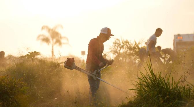 Suman esfuerzos Ayuntamiento de Erick Ruiz y Gobierno de Veracruz para hacer la faena más grande del estado