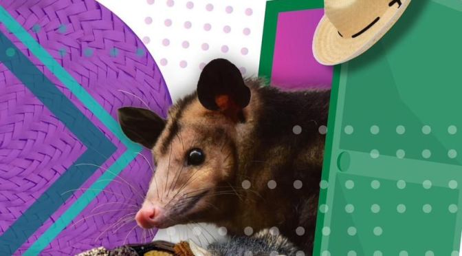 El INECOL abrirá sus puertas al público en su edición número 12 de «Casa Abierta»