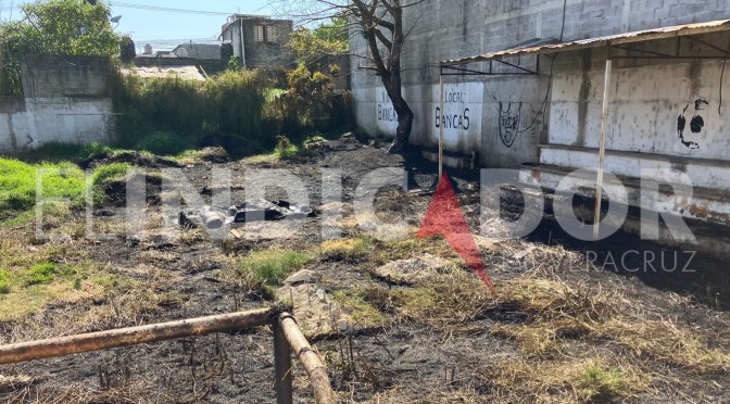 Se incendia pastizal en la colonia Revolución  en Xalapa.