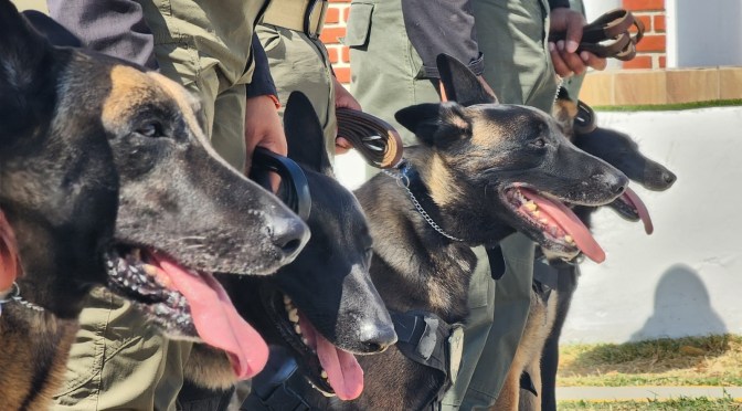 Se retiran con honores ocho elementos caninos de Fuerza Civil