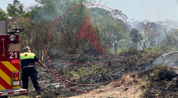 Bomberos Xalapa sofoca incendio de pastizal en colonia Ampliación Libertad