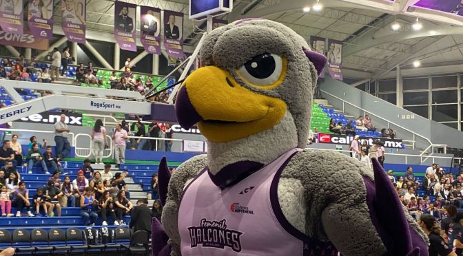 Debutan en la capital los Halcones Femenil Xalapa vs Fuerza Regia de Monterrey