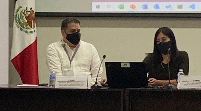 Adultos mayores tienen mas participación en procesos electorales