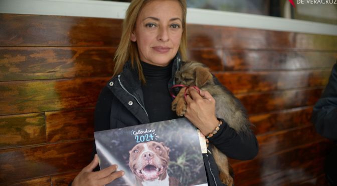 Refugio de animales en Xalapa en peligro de cierre por falta de apoyo.