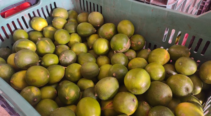 Falta de agua para producción de pepino, calabaza y limón afecta también a vendedores de Central de Abastos