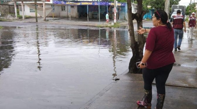 Inundaciones en Veracruz, por omisión y complicidad del Ayuntamiento con Grupo MAS: Norma Mendoza