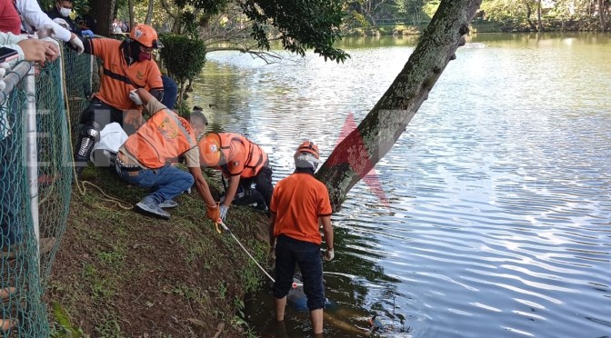 Joven pierde la vida en Los Lagos, se sumergió presuntamente bajo los influjos del alcohol