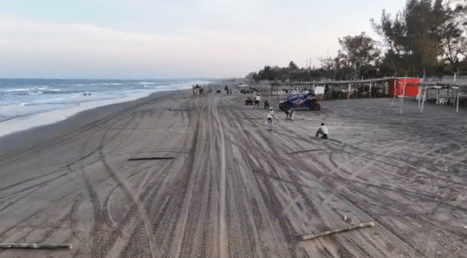 Habilitan carril con carrizos para vehículos en Playa de Chachalacas