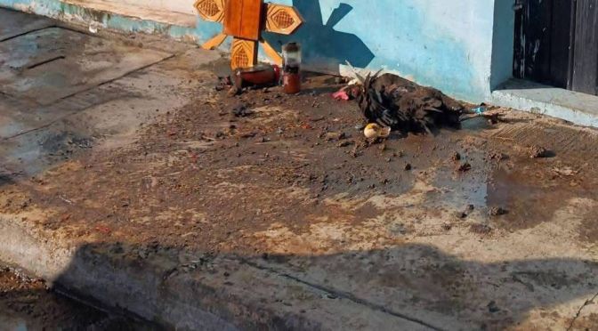 Ritual hallado en Coatepec, busca la mu3rte.