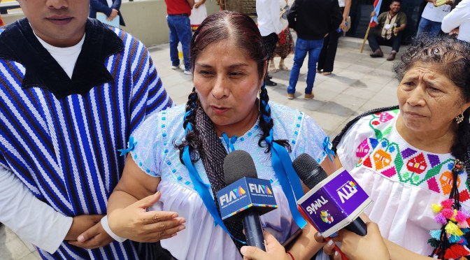 🌿 Volver a sanar desde la raíz: la medicina tradicional en Zongolica