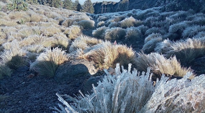 Se registra cencellada en la cima del Cofre de Perote