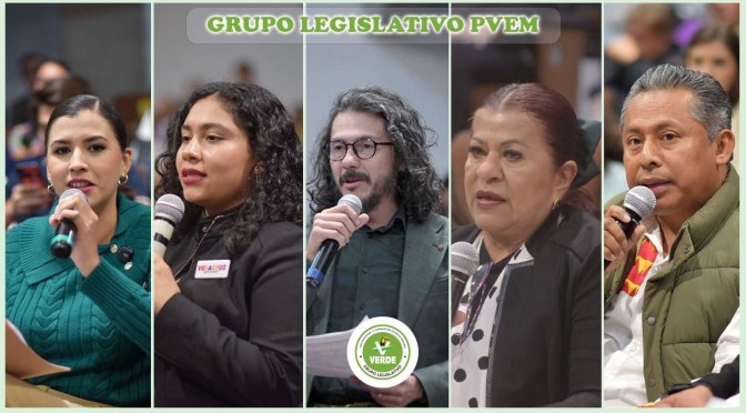 Orden, inversión histórica y rendición de cuentas en primer año de Rocío Nahle: Legisladores del PVEM