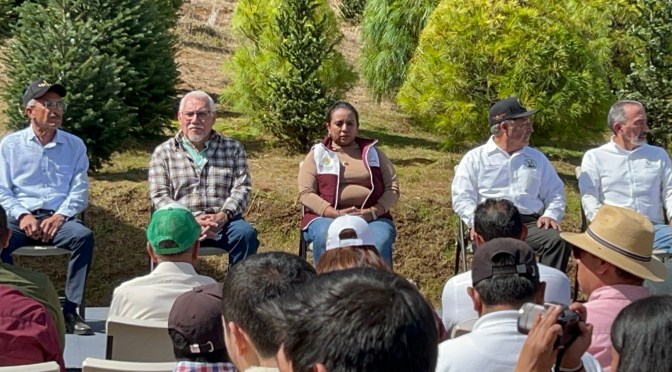 Veracruz enciende su espíritu navideño con el primer corte de árboles en Las Vigas