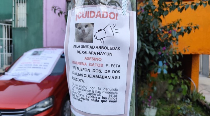 Alertan por presunto envenenamiento de mascotas en la unidad Arboledas de Xalapa