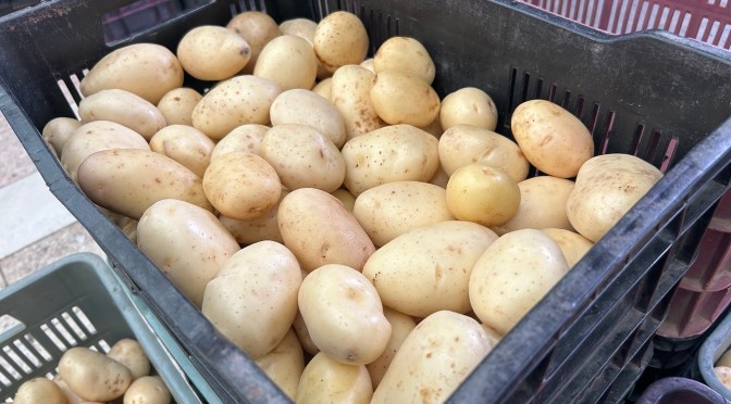 Cosecha de papa en Las Vigas llega a su fin: sabor, calidad y motor económico local