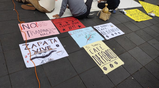 Cafetaleros de Veracruz exigen precios justos y freno a importaciones de baja calidad