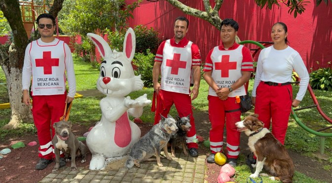 Juegos, RCP y simulaciones acercan la cultura de la prevención a las familias