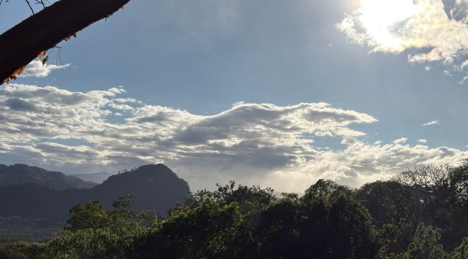 Persistirá ambiente caluroso en Veracruz; temperaturas podrían acercarse a los 40 grados